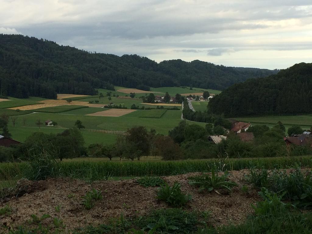 לינה וארוחת בוקר Turbenthal Gastehaus Zum Tulpenbaum מראה חיצוני תמונה